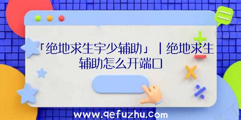 「绝地求生宇少辅助」|绝地求生辅助怎么开端口